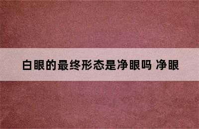 白眼的最终形态是净眼吗 净眼